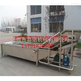 自动蔬菜清洗机厂家